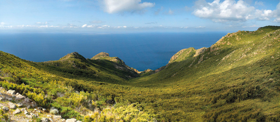 Elba