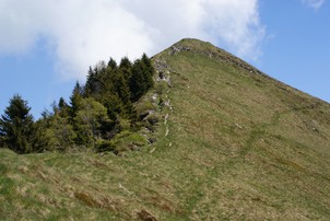 Oro